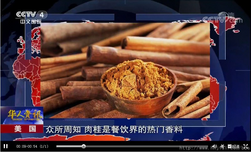 CCTV-4［华人世界］：华人学者发现肉桂有助于燃烧脂肪_11918.jpg