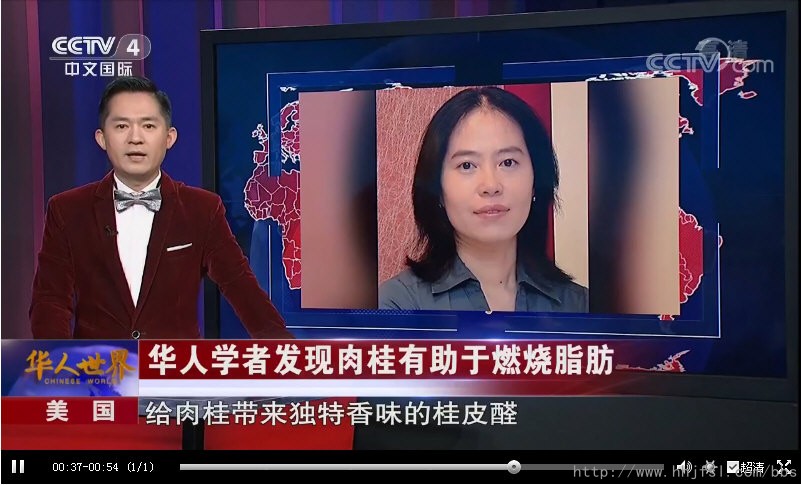 CCTV-4［华人世界］：华人学者发现肉桂有助于燃烧脂肪_11921.jpg