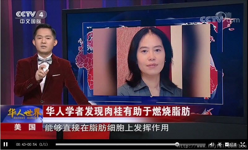 CCTV-4［华人世界］：华人学者发现肉桂有助于燃烧脂肪_11922.jpg