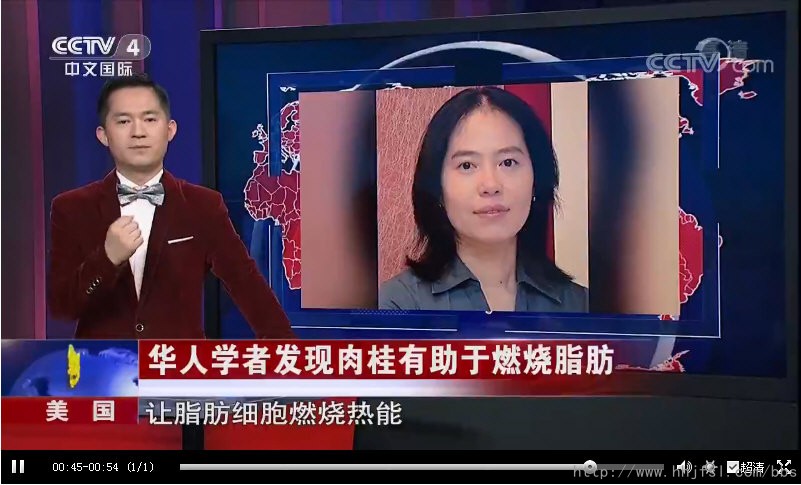 CCTV-4［华人世界］：华人学者发现肉桂有助于燃烧脂肪_11923.jpg