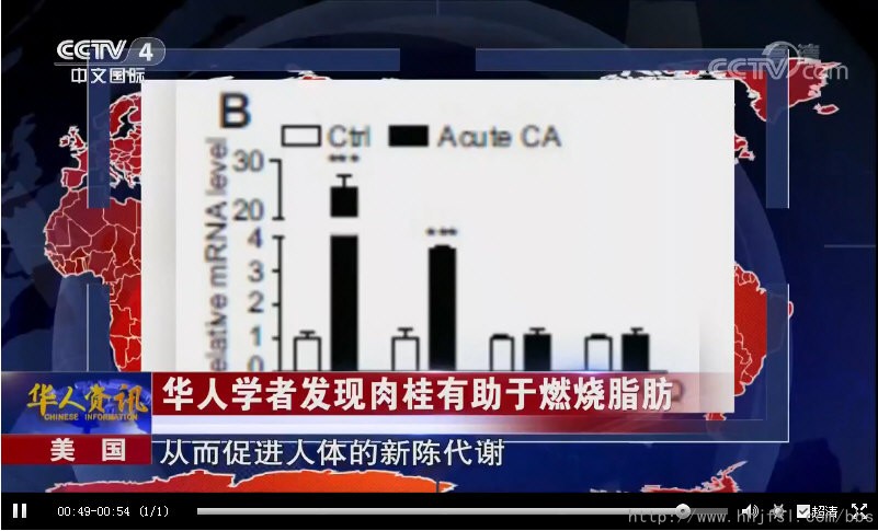 CCTV-4［华人世界］：华人学者发现肉桂有助于燃烧脂肪_11924.jpg