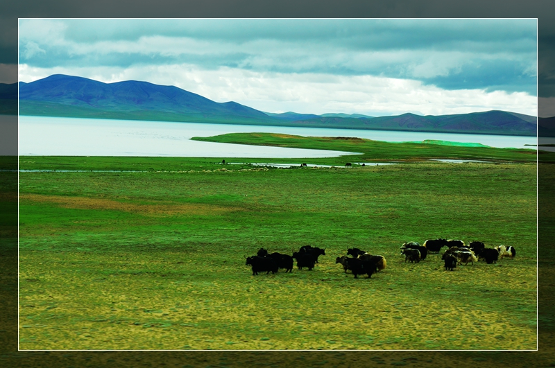 西藏3jpg.jpg